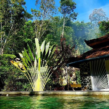 Mi Casa - The Gem Of Ijen Hotel Banyuwangi  Exterior photo