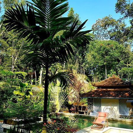 Mi Casa - The Gem Of Ijen Hotel Banyuwangi  Exterior photo