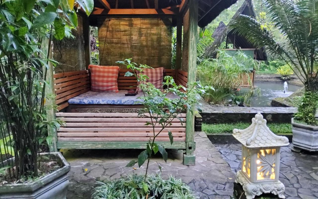 Mi Casa - The Gem Of Ijen Hotel Banyuwangi  Exterior photo