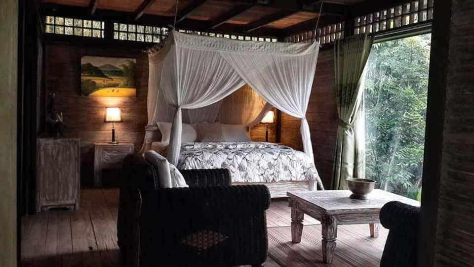 Mi Casa - The Gem Of Ijen Hotel Banyuwangi  Exterior photo
