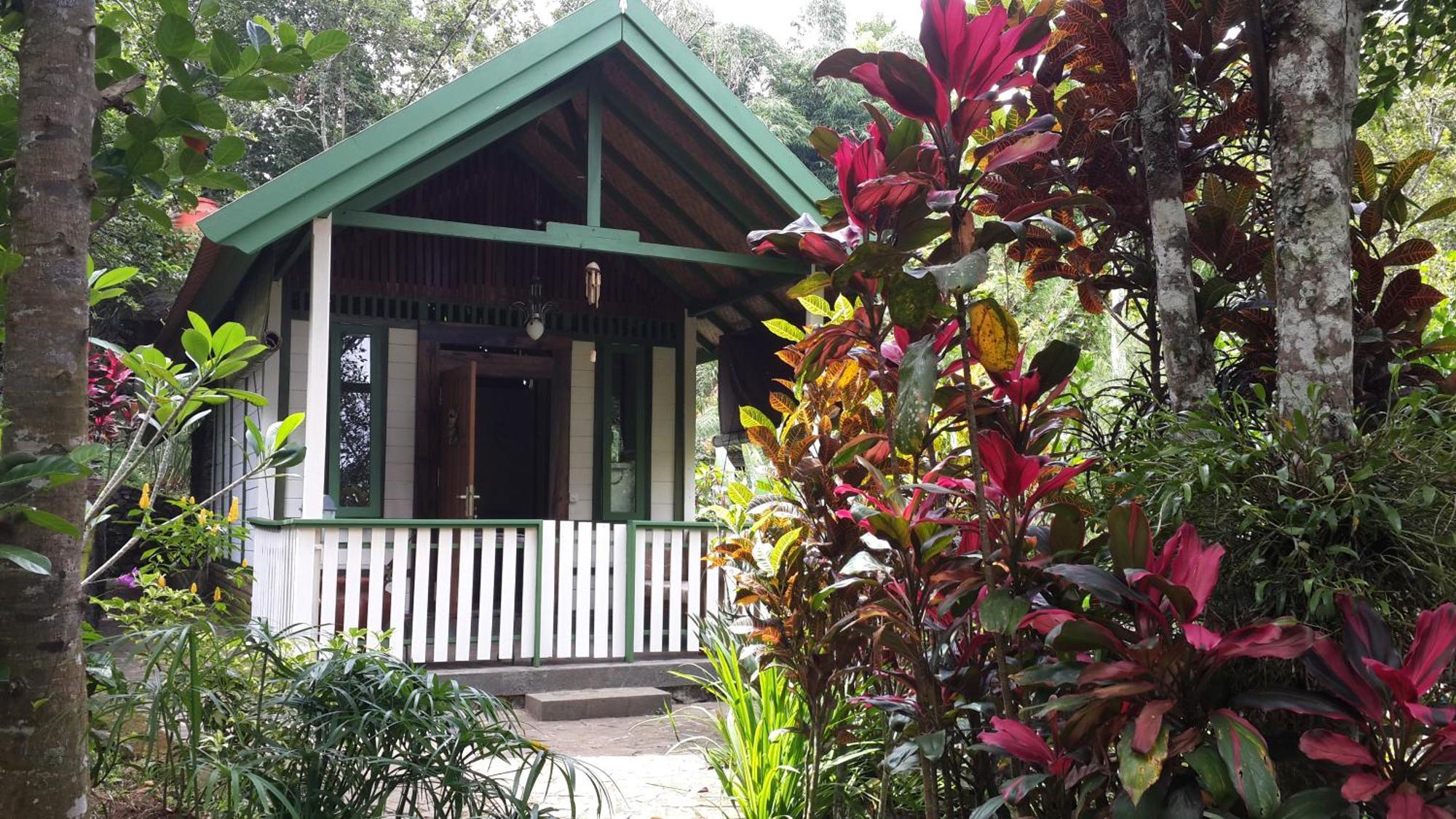 Mi Casa - The Gem Of Ijen Hotel Banyuwangi  Exterior photo
