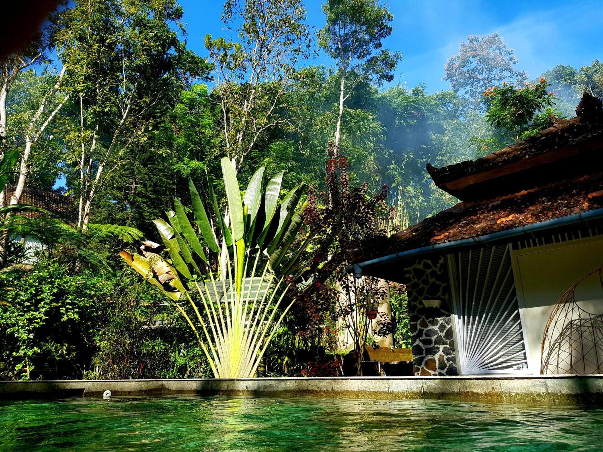 Mi Casa - The Gem Of Ijen Hotel Banyuwangi  Exterior photo