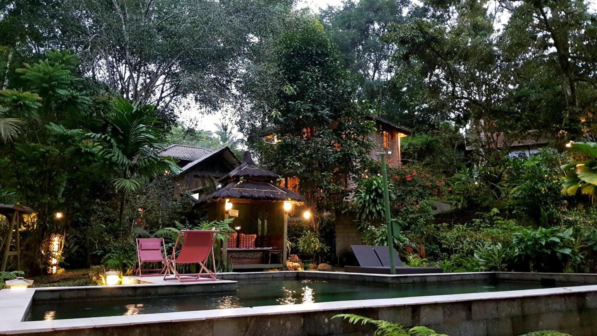 Mi Casa - The Gem Of Ijen Hotel Banyuwangi  Exterior photo