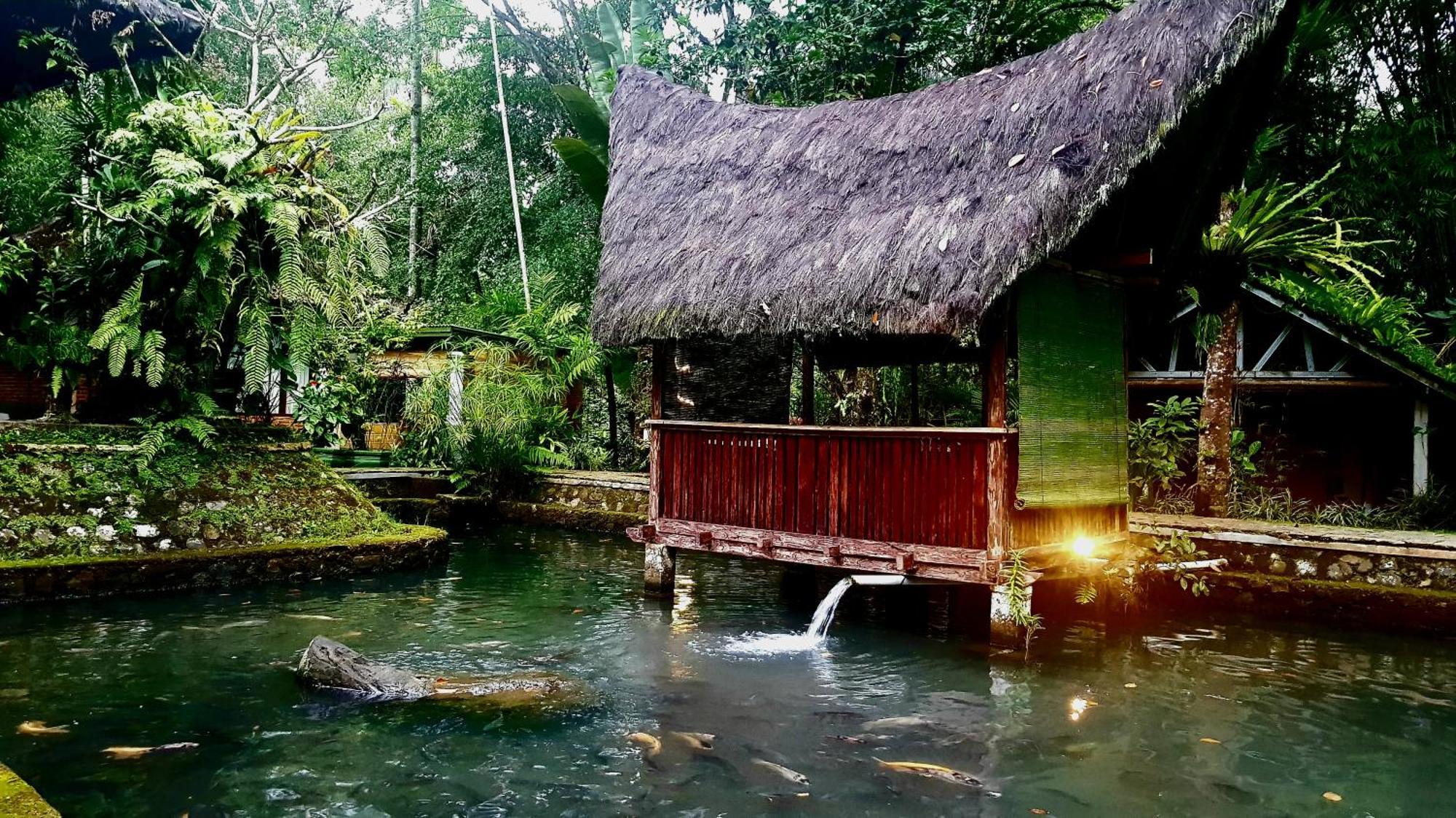 Mi Casa - The Gem Of Ijen Hotel Banyuwangi  Exterior photo